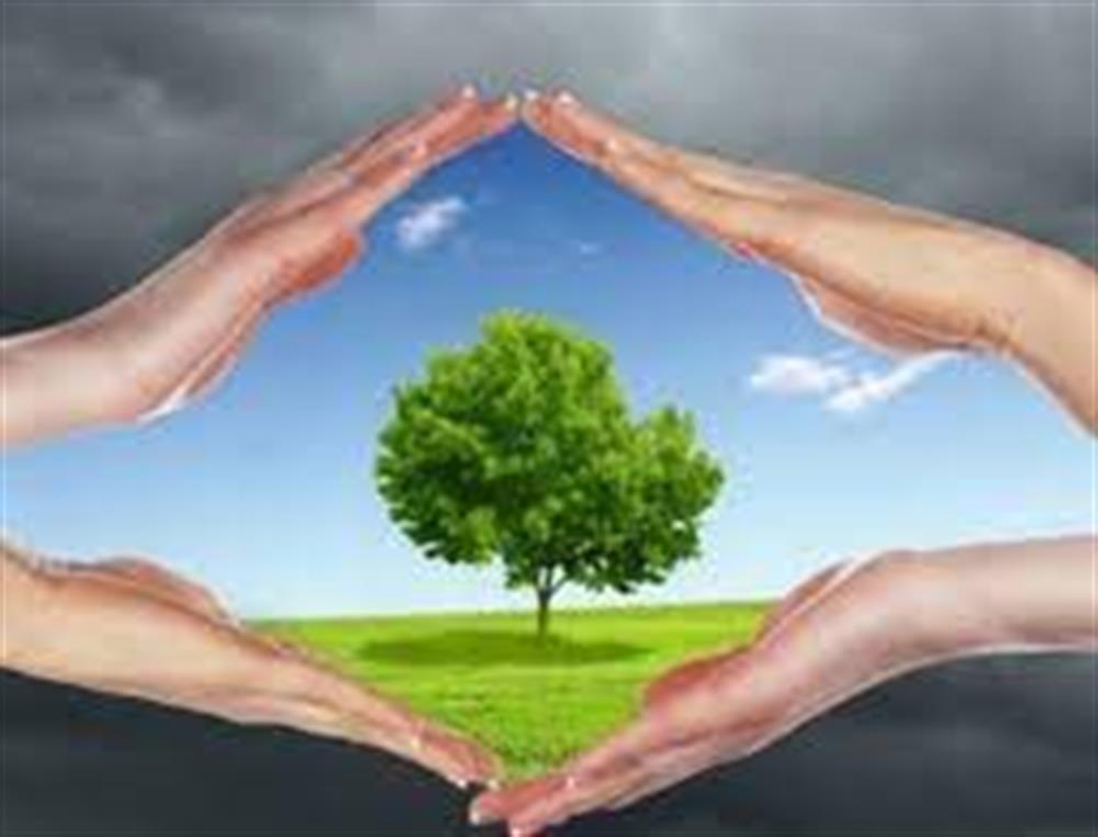 نقش روابط عمومی در توسعه پایدار محیط زیست چیست؟